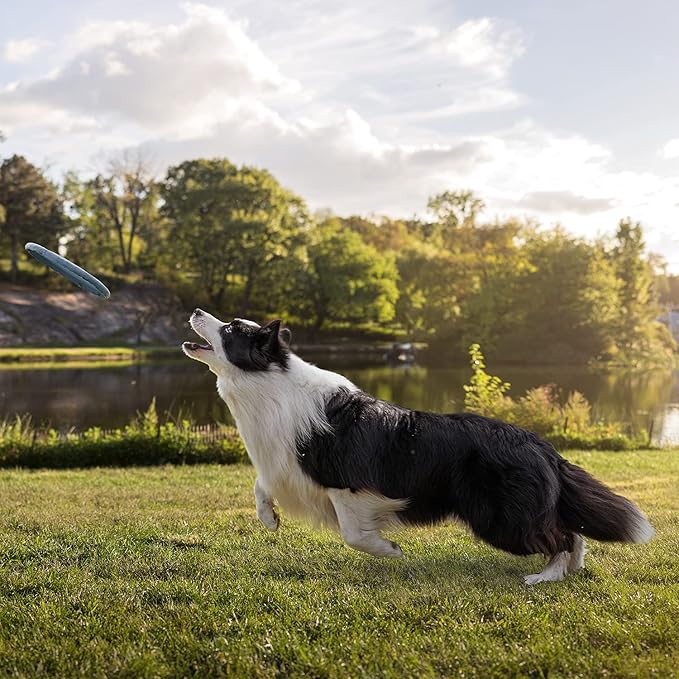 Meadowlark SUV Cargo Liner Dog Seat Covers, Double Stitched & Extra Padded, Water Repellant, Anti Shock, Non-Slip, Car Cover Trunk Mat, Dog Accessories, Pet Car Seat Protector for Fur & Mud