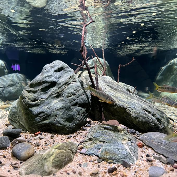 Aquarium Stone Green River Rock 40LB Rocks aquascaping Fish Tank Decor Rocks for Aquariums Fairy Gardens Model Railroads Dioramas Wargaming Mosaic Art(4-10inch / 7PCS)