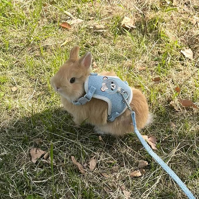 2-Pack Rabbit Harness and Leash Set – Adjustable Small Animal Vest Harness with Safety Buckle – Breathable & Lightweight – Ideal for Rabbits, Ferrets, Guinea Pigs, and Cats (Blue)