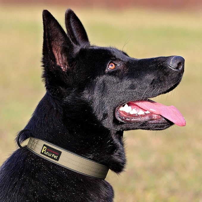 Plutus Pet Tactical Dog Collar, Reflective, Adjustable Heavy Duty Dog Collar, Soft Padded and Comfortable, for Small Medium and Large Dogs (Beige, S)