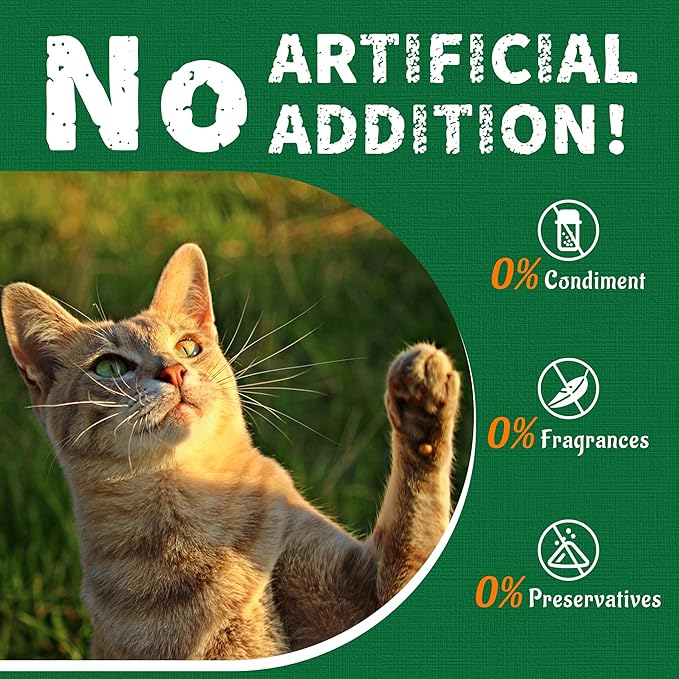 Just Try 13.4 0Z Cat Grass Treats Salmon Oil Natural Salmon Kitten Healthy Cat Treats Training Biscuits Snacks Fish Oil Omega 3 Supplements for Cats Joint Support & Skin Coat Health