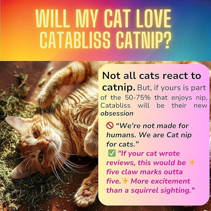 1oz Cat Nip for Cats, Turbo Charging Blend for Refillable Catnip Toys, 100% Essential Natural Cat Weed Treat, Non-Addictive, Enhancing Play for Indoor Cats