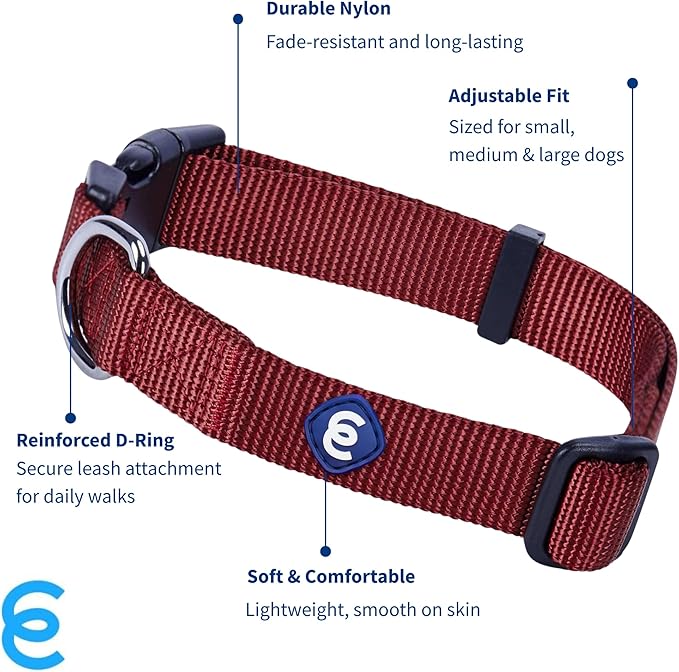 Blueberry Pet Essentials Small Dog Collar | Fired Brick Nylon Dog Collar with Quick Release | Girl & Female Dog Collars for Fall