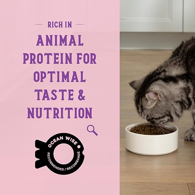 Open Farm Goodbowl, Protein Rich Dry Cat Food Made from Meticulously Sourced Simple Ingredients, Wild-Caught Salmon & Brown Rice Recipe, 3lb Bag (48oz Bag)