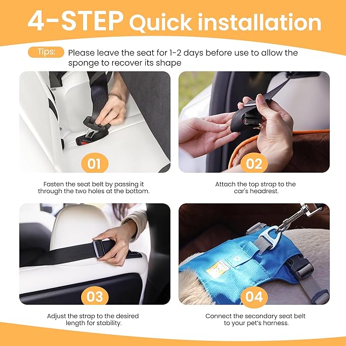 Dog Car Seat for Medium Dog, Booster Seat for Dogs Under 55lb, Elevated Pet Seat with Pocket, Anti-Slip Bed for Car, Perfect for Back Seat & Trunk with 2 Safety Leashes (Black/Brown, Large)