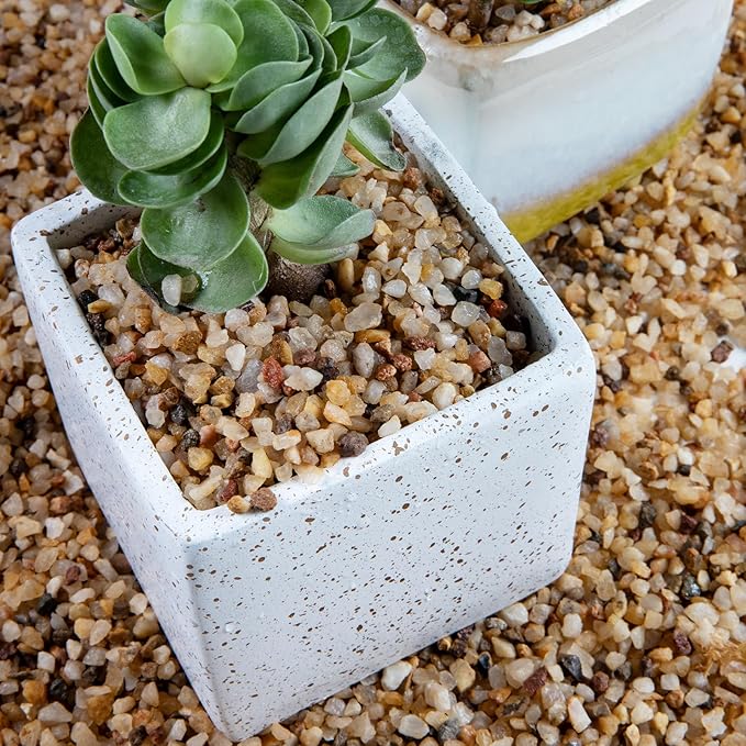 5lb Mixed Color Small Silica Gravel Pebbles, 1/5 inch Decorative Stones for Succulents, Pebbles for Vases,Plants Rocks, Aquarium Sand, Top Dressing, Outdoor Decorative Rocks