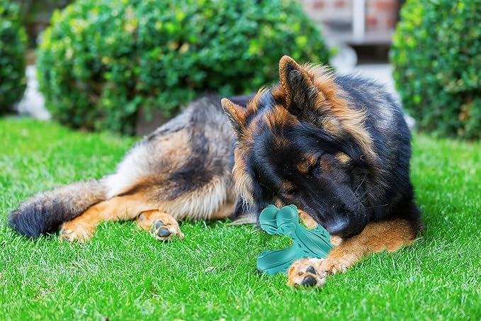 Dog Chew Toys for Aggressive Chewers Large Breed,Indestructible Bones Toy,Durable Cleaning Toothbrush Natural Rubber Dog Toys… (Blue)