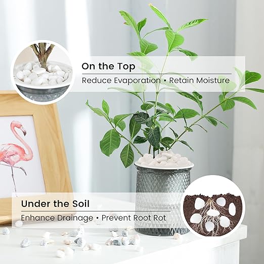 SIDONG 10 LB White River Rocks, 0.4-1.2 Inches Matte Pebbles for Indoor Plants, Aquarium Rocks Used in Fish Tank, Decorative Stones for Plants, Vases, Home DΓ©cor, Crafting, Garden Landscaping