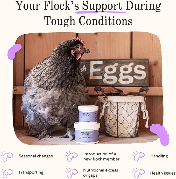 Grubbly Farms Vitamins + Electrolytes Water Supplement for Chickens (30 Day)