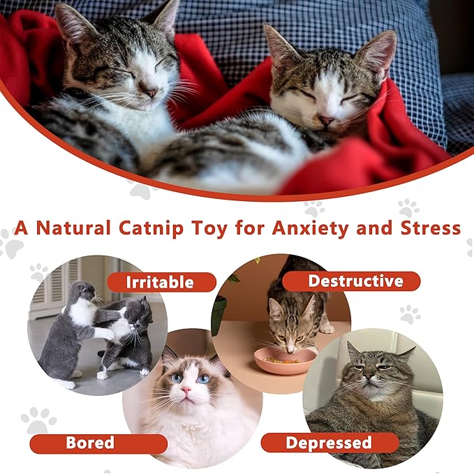 Interesting Catnip Toys Fish, 1 Pack Large Cat Toys, Soft Indoor Cat Kicker Toys, Durable and Highly Interactive Catnip Toys(Red Fish)