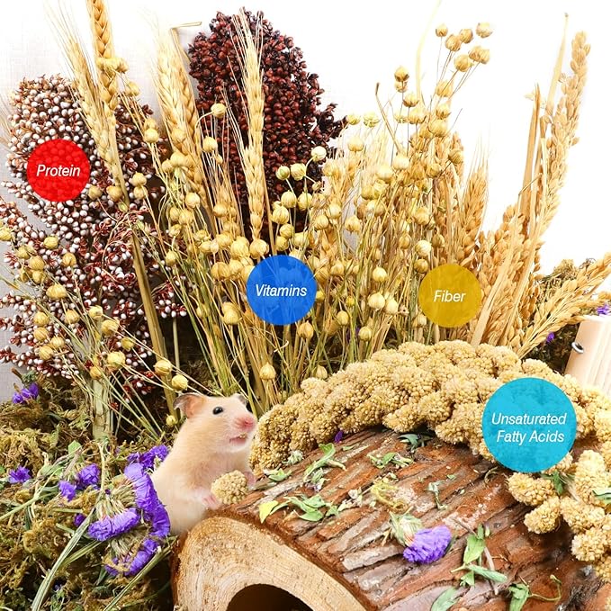 Natural Hamster Bedding, Hamster Herbs Flowers for Hamster Cage Enclosure Habitat Decor Hamster Sprays for Dwarf Syrian Guinea Hamsters Gerbil Degus or Other Small Animals(Grain Version)