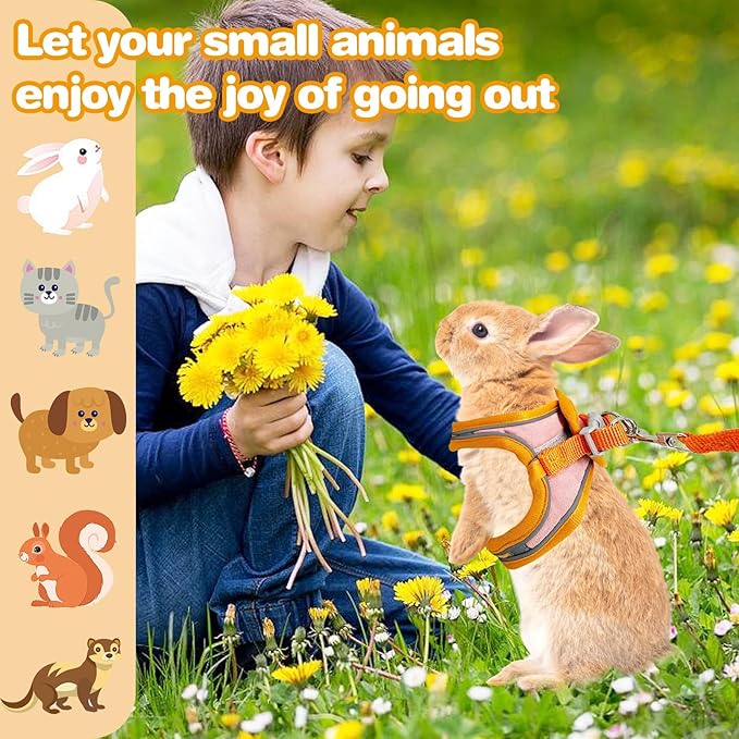 PINVNBY 2 Pack Bunny Hsrness and Leash Set Adjustable Rabbit Harness with Reflective Strips Double Buckle Pet Vest Eescape Proof for Small Rabbit Kitten Puppy Walks Accessories (Orange Pink, M)