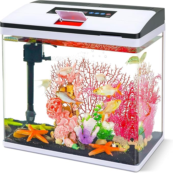 Glass Aquarium Fish Tank Starter Kit with Temperature and Time Display for Betta Fish Featuring Crystal Clear 360° Viewing, Eco-Cycle Filtration, Air Pump 12 Gallon