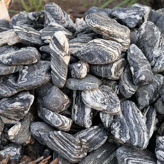 Natural Aquarium Rocks Silver Seiryu Rock Decorative Stone for Aquariums and Terrariums Animal Feeding Box, Micro Landscape, Stone Landscape and Bonsai.(10lb 2-7inch 5-6Pcs)