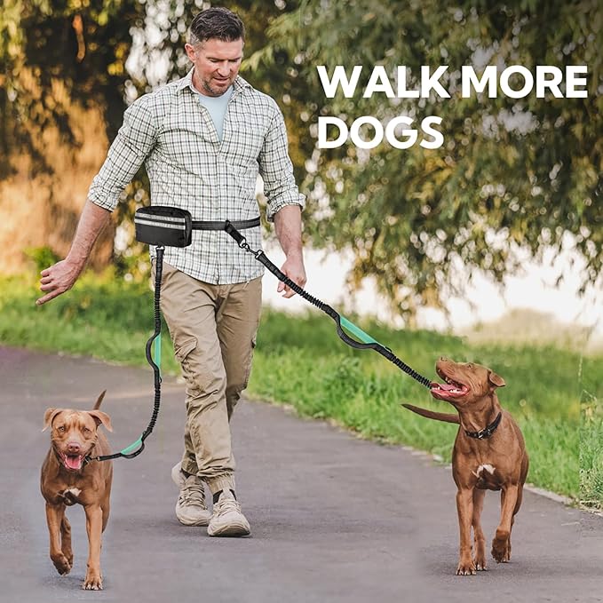 Hands Free Dog Leash with Pouch, Double Leash for Two Dogs, Retractable Bungee with Double Padded Handles, Waist Leash for Dog Walking, Running Leash for Dogs, Dog Walking Accessories