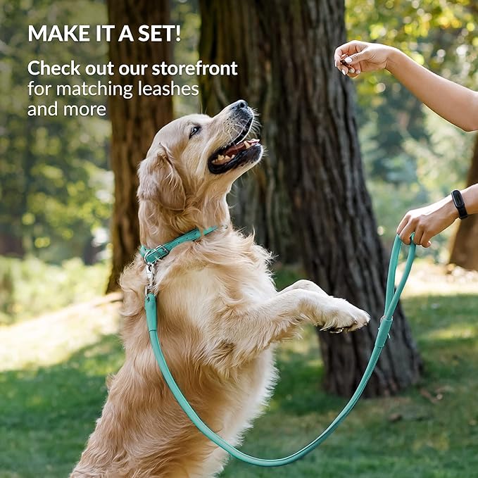 CollarDirect Rolled Leather Dog Collar, Soft Padded Round Puppy Collar, Handmade Genuine Leather Collar Dog Small Large Cat Collars 13 Colors (18-22 Inch, Mint Green Smooth)