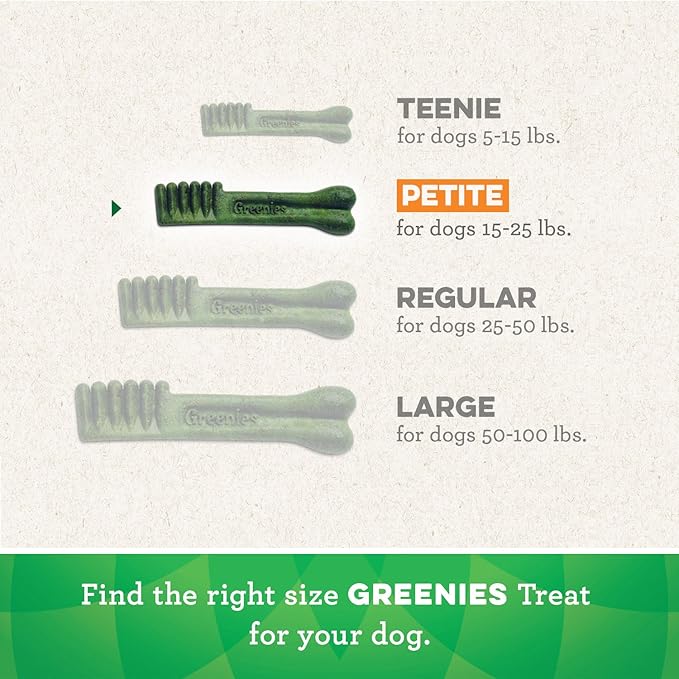 Greenies Pumpkin Spice Flavor Petite Size,Veterinarian-Recommended for Dental Care, Dog Treat Chews, Limited Edition, 12 oz., Pack of 40