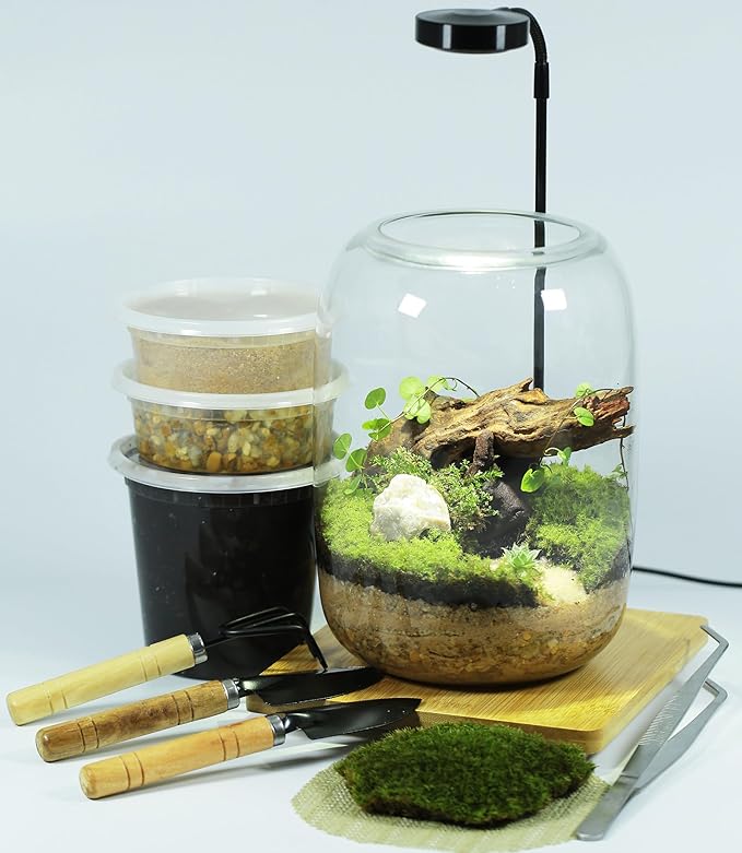 Terrarium Kit with Grow Light, Succulent Plants, Mini Gardening Set - Includes Jar, Tools, Moss, Rocks, Driftwood & Decor