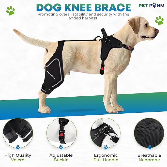 Comfortable Dog Knee Brace for Both Hind Legs with Harness - for ACL Tear, Luxating Patellae, Osteoarthritis & Instability - for Recovery & Injury Prevention in Active/Aging Dogs - (XSmall)