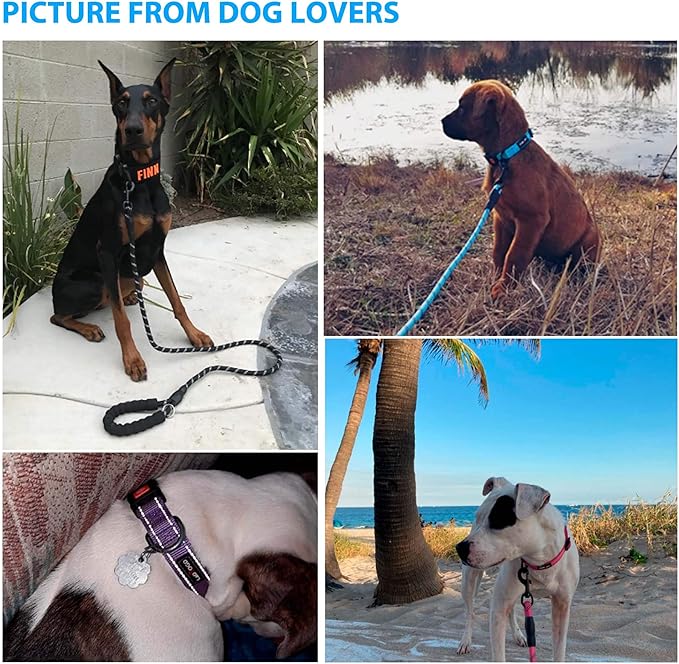 Heavy Duty Dog Leash - Comfortable Padded Handle, 5 ft Long - Dog Leashes for Small Medium Large Dogs (Leash+Collar S Neck 13.5"-16", Red)