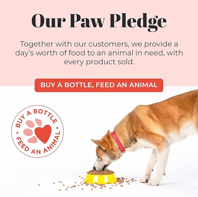 Skout's Honor Laundry Booster Stain & Odor Removal Additive - Plant-Powered Formula for Pet Bedding, Clothing, and Washable Pee Pads - Eco-Friendly & Cruelty-Free, 32 oz - 3 Pack