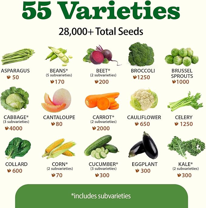 HOME GROWN π¨π¦π π£π₯ππ ππ¨π 55 Vegetable Seeds Pack 28,000+ Non-GMO Heirloom Seeds for Planting, Spring Fall Winter Garden Kit, Survival Seed Vault for Preppers & Gardeners, Gift for Men & Women