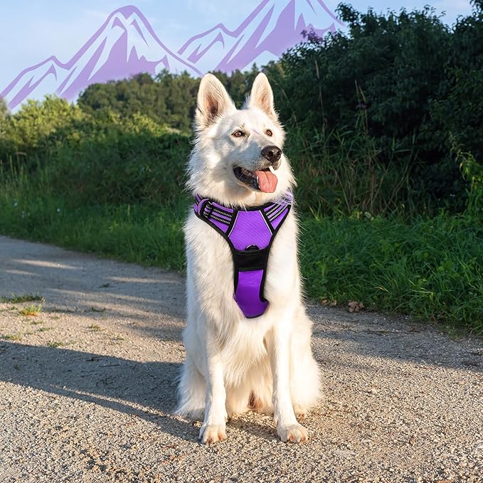 Eagloo Dog Harness for Large Dogs, No Pull Service Vest with Reflective Strips and Control Handle, Adjustable and Comfortable for Walking, No Choke Pet Harness with 2 Metal Rings, Purple, XL