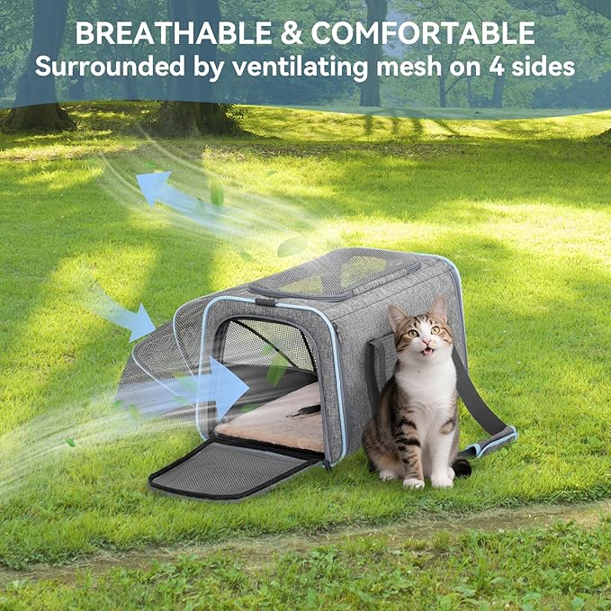 Petsfit Small Cat Carrier Soft Airline Approved Expandable Carrier for Kitten Puppy Bunny, 16"X10"X9“