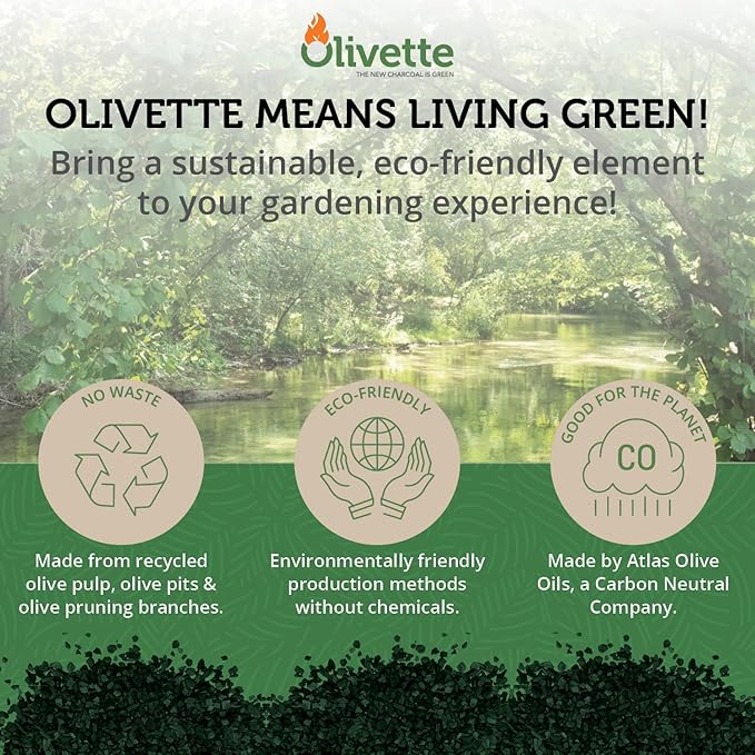 Olivette Horticultural Biochar Activated Charcoal for Plants, USDA Organic Moisture Control for Terrarium Trees & Potted Plants, Eco-Conscious, 1 Bag