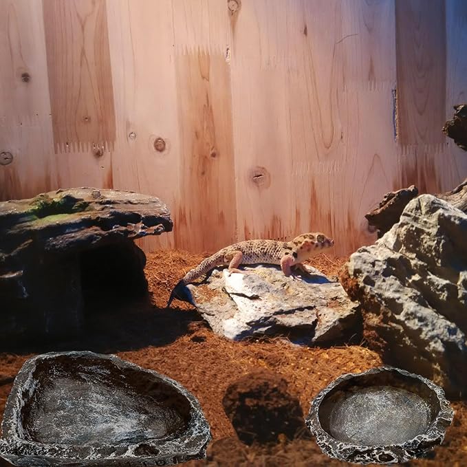 Reptile Water Dish Food Bowl, 3 Pack Reptile Feeding Terrarium Bowls for Bearded Dragon Lizard Frog Gecko Tortoise Hermit Crab Snail (Black)