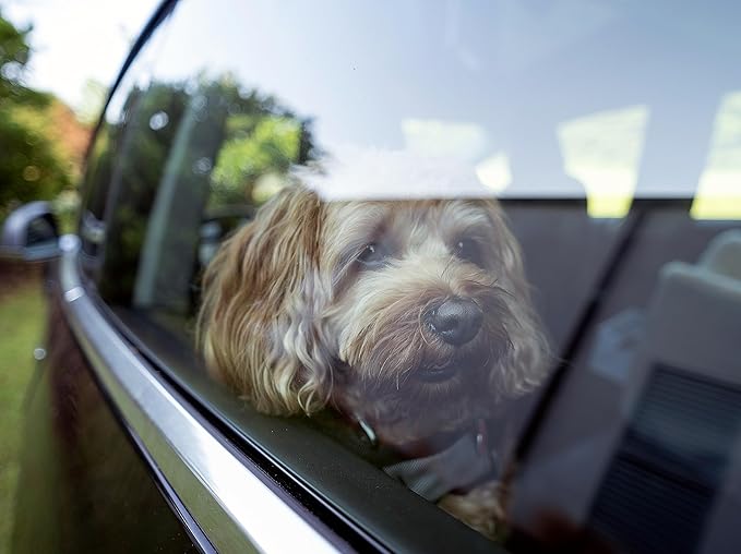 Snoozer Dog Car Seat, Lookout I Dog Booster Car Seat for Small Dogs Under 25lbs, Size: Medium, Fabric: Merlin Linen, Pet Car Seat to Alleviate Car Sickness for Dogs, Removable Machine Washable Cover