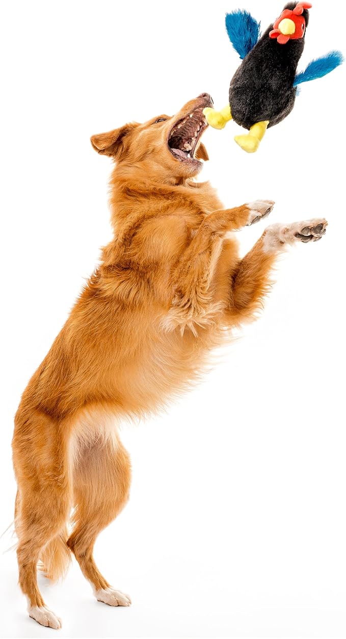 Playology Dog Toys | Plush Toy Hen Stuffed Animal for Dogs | Medium Chicken Scented Toy - Easy to Clean and Made from Non Toxic Materials