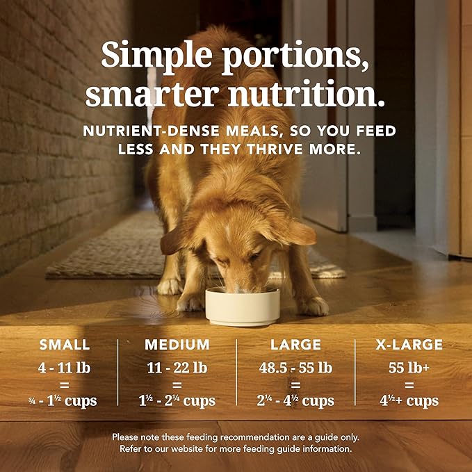 K9 Natural Lamb and Venison Freeze Dried Dog Food, High-Meat and Natural Complete Meal or Meal Toppers for Dogs, Grass-Fed Lamb and Venison from New Zealand, Grain-Free, GMO-Free, 17.6 Ounces