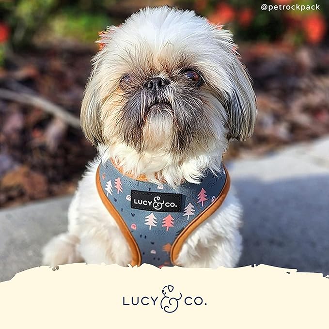 Lucy & Co. Cute Reversible Dog Harness Walking Halter - Best Designer Pet Harnesses for XS - XL Dogs - Padded Adjustable Vest for Easy Walking (Medium, Neutral Brown Plaid with Blue Trees)