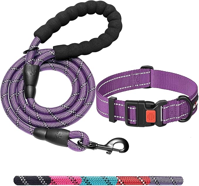 Heavy Duty Dog Leash - Comfortable Padded Handle, 5 ft Long - Dog Leashes for Small Medium Large Dogs (Leash+Collar M Neck 16"-20", Purple)