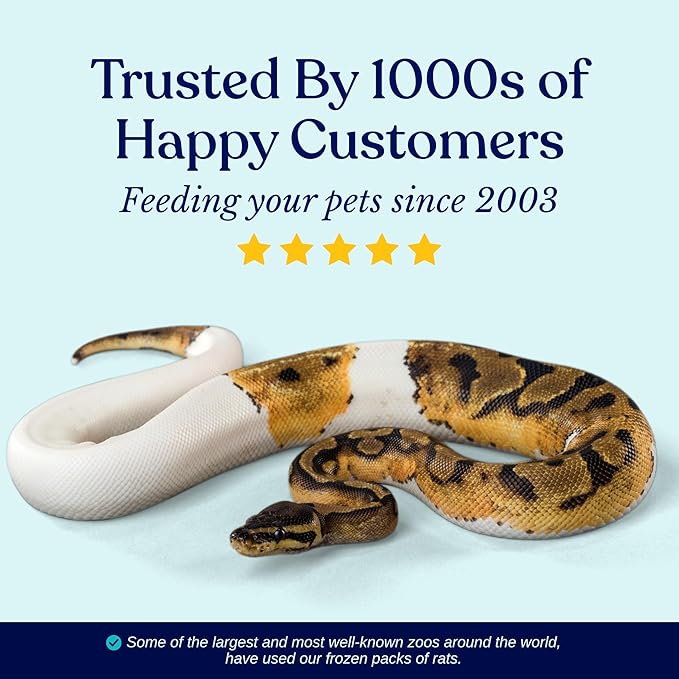 MiceDirect EST. 2003 150 Frozen Mice Pinkie Feeders Snake Food for Corn Ball Pythons Lizards (.5-1 in) (300 Grams Min)