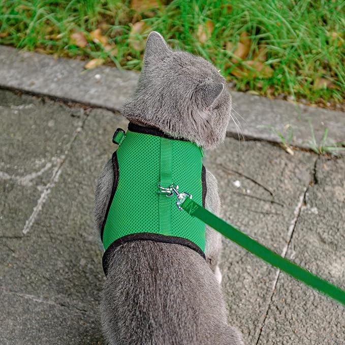 PUPTECK Soft Mesh Cat Vest Harness and Leash Set Puppy Padded Pet Harnesses Escape Proof for Cats Small Dogs Rabbits Bunny