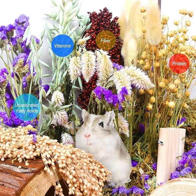 Natural Hamster Bedding, Hamster Herbs Flowers for Hamster Cage Enclosure Habitat Decor Hamster Sprays for Dwarf Syrian Guinea Hamsters Gerbil Degus or Other Small Animals(Flower Grain Version)