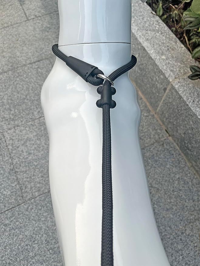 Slip Lead Dog Leash,Strong Nylon Rope Leash and Padded Handle,No Pull Outdoor Walking Training Lead for Small Medium Large Dogs(Black, 1/2"×4ft)