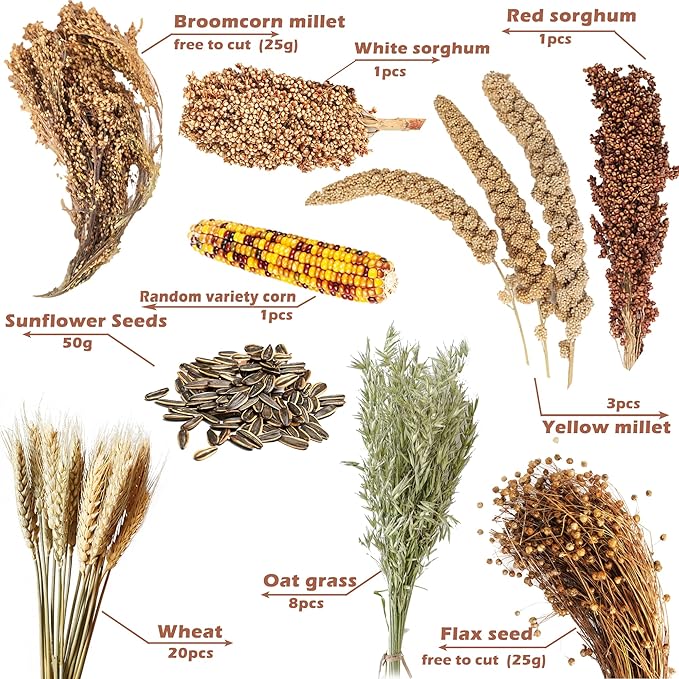 Natural Ear of Grain Flower&Herb Bedding Mate Habitat Decor, Adding Fun Hamster Accessories for Hamsters Gerbils Lemming