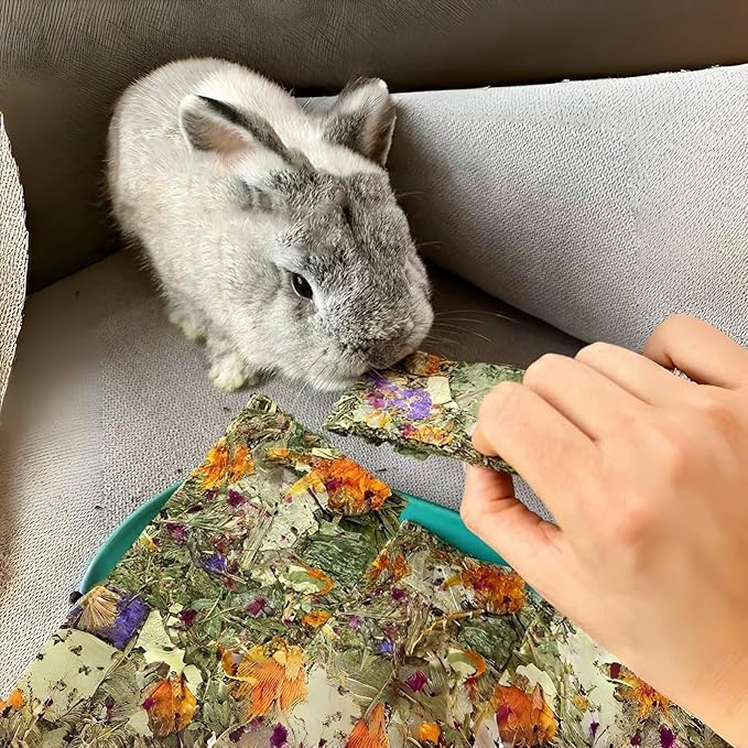Hamiledyi Rabbit Chew Toys 30 Pieces Natural Timothy Hay Chips Bunny Molar Treats with Herbal Floral Scent for Guinea Pig Chinchilla Hamster