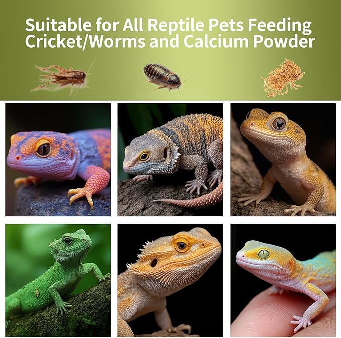 Cricket Calcium Powder Mixer for Reptiles,Easy-to-Use Cricket Keeper Calcium Shaker for Even Coating, Reptile Nutrition Dispenser Accessory for Bearded Dragon Gecko Lizard Turtle