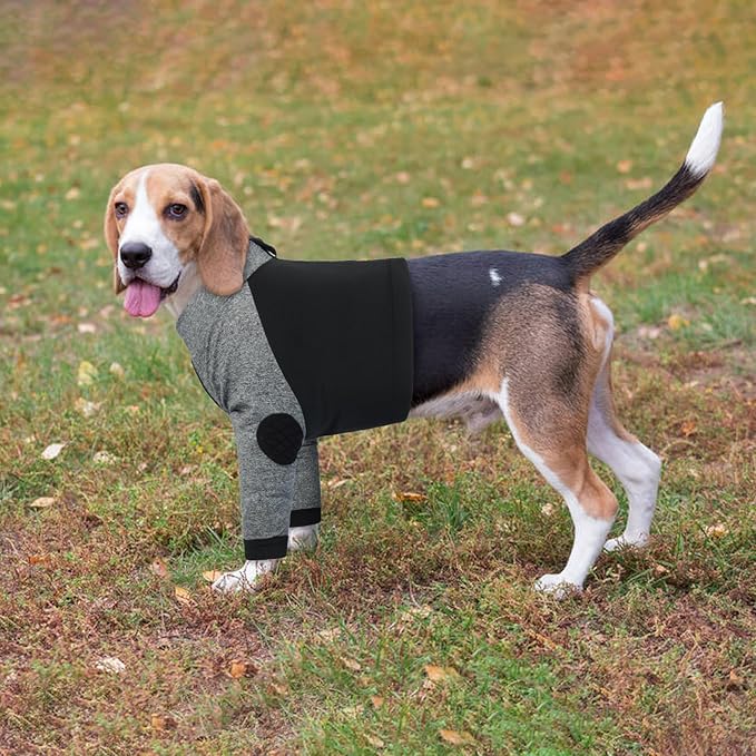 LeLePet Dog Recovery Suit for Front Legs, Dog Sleeve to Stop Licking, Elbow Protector for Leg Injuries Shoulder Wounds After Surgery Male Female,Zippered Long-Sleeved Shirt Cone Alternative(S-3XL)