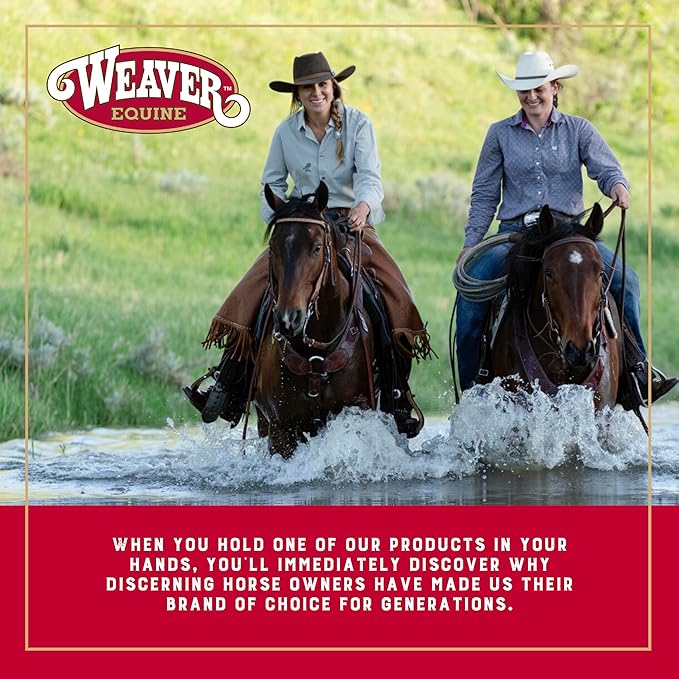 Weaver Leather Nylon Horse Halter, Padded and Adjustable, Chin and Throat Snap Hook Halters for Horses, Brass Plated Halters for Training