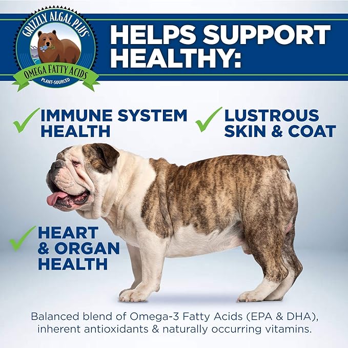 Grizzly Pet ProductsAlgal Plus Omega 3-6-9 Food Supplement for Dogs and Cats, 16 Ounce Bottle