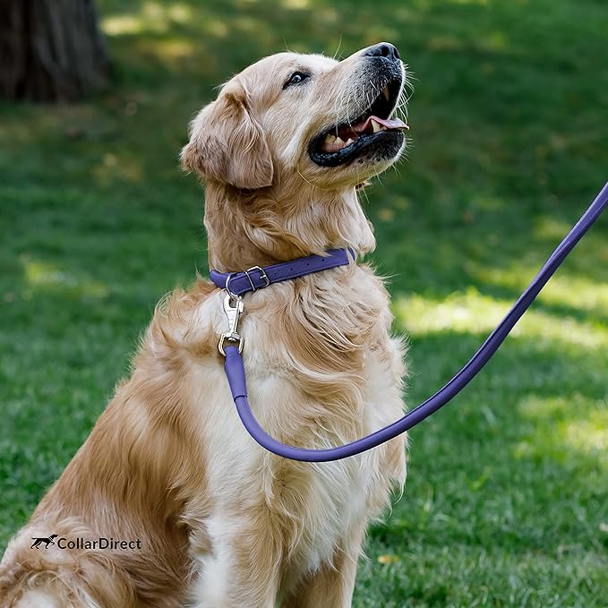 CollarDirect Rolled Leather Dog Collar, Soft Padded Round Puppy Collar, Handmade Genuine Leather Collar Dog Small Large Cat Collars 13 Colors (11-14 Inch, Purple Textured)
