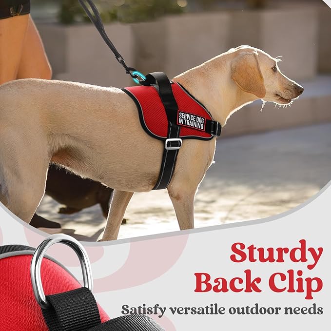 rabbitgoo Dog Harness for Large, Easy On Pet Vest with One Buckle, No Pull Adjustable Service Harness with D-Ring & Handle, Reflective for Safety Walking, Training, Red, XL