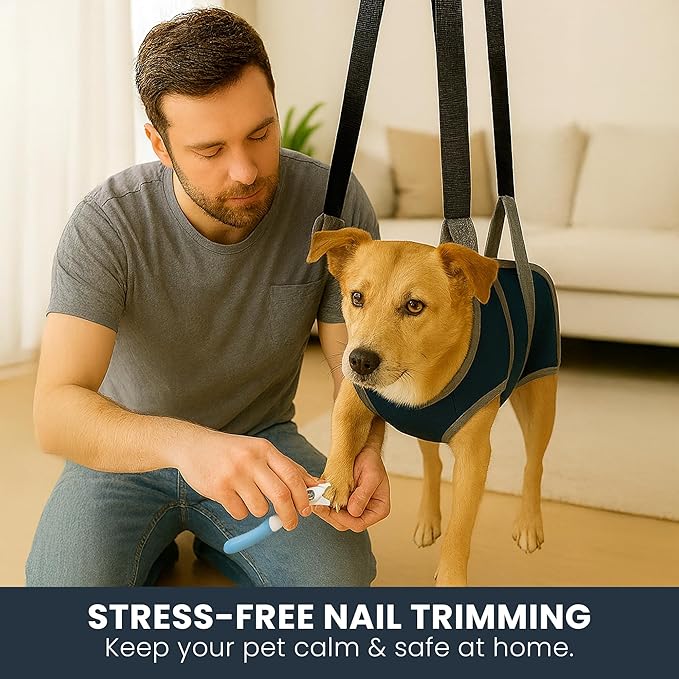 Pet Grooming Hammock Kit for Dogs & Cats - Includes Hammock Harness, Nail Clippers, Nail File, Grooming Glove, Dematting Comb, S-Hooks, Carabiners & Storage Bag for Easy Home Grooming Large (93ร56) cm