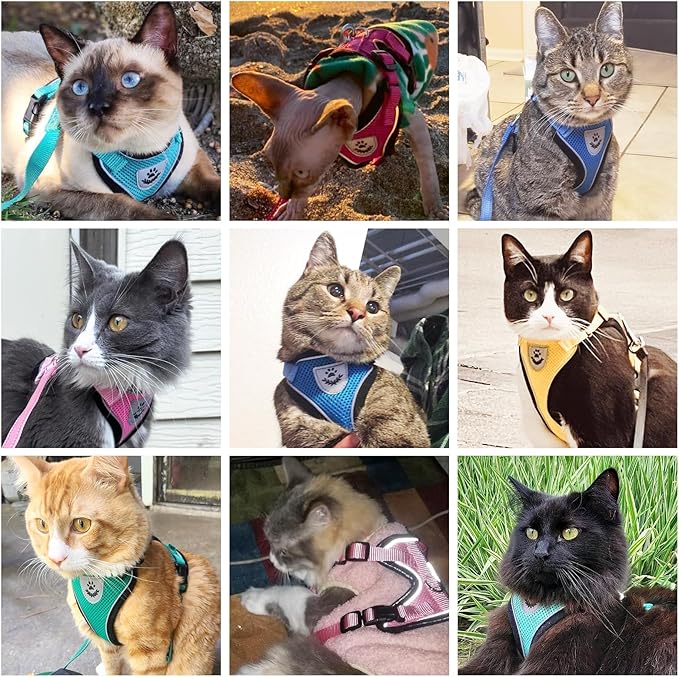 PUPTECK Cat Harness and Leash Set Escape Proof Reflective Cat Walking Harness Adjustable Soft Breathable Mesh Vest for Small Pets, Blue, M