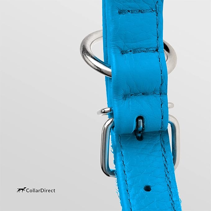 CollarDirect Rolled Leather Dog Collar, Soft Padded Round Puppy Collar, Handmade Genuine Leather Collar Dog Small Large Cat Collars 13 Colors (11-14 Inch, Light Blue Textured)